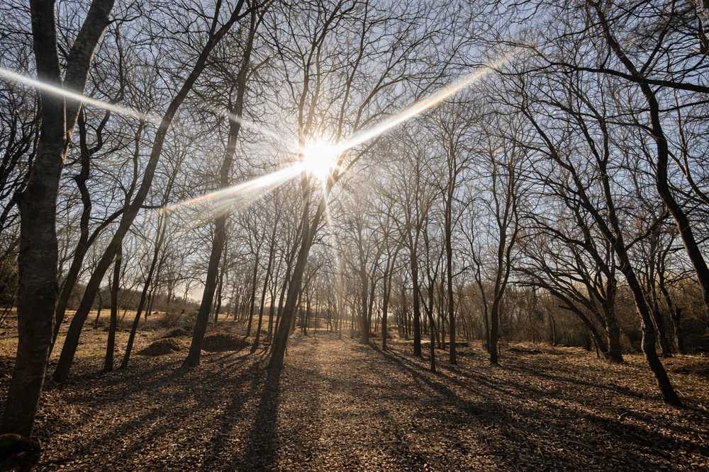 Park Image 7