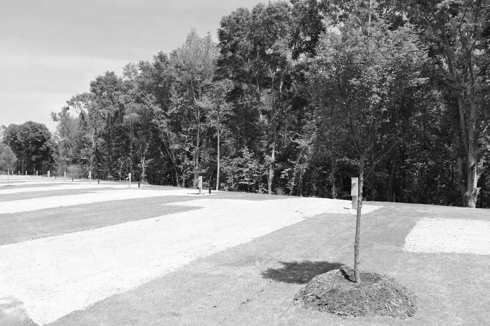 Madison Trails RV Park - Madison, GA - Photo 4