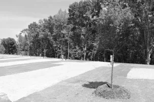 Madison Trails RV Park – photo 4