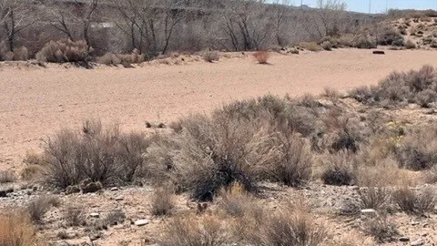 Beach,  Primitive Tent camping, wide open Area No Water No Electric, Walk in no parking next to site. — image 2 of 3