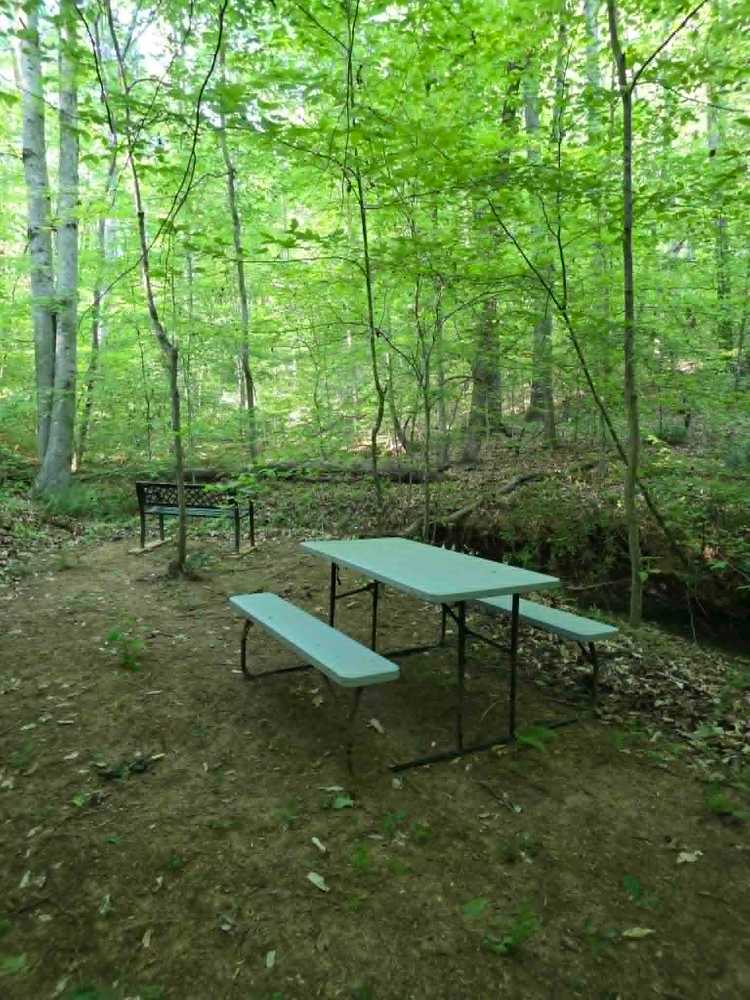 Park Image 7