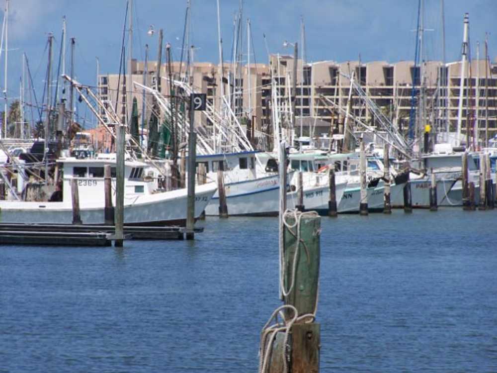 Sailfish RV Resort - Photo 2
