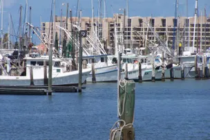 Sailfish RV Resort – photo 2