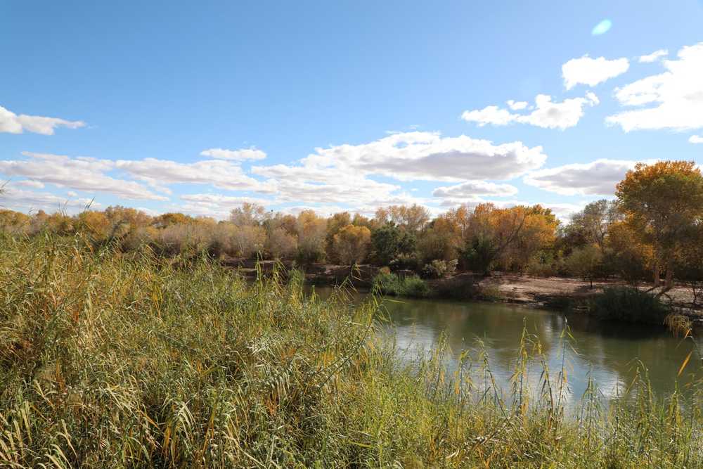 Rivers Edge RV Resort - Photo 4