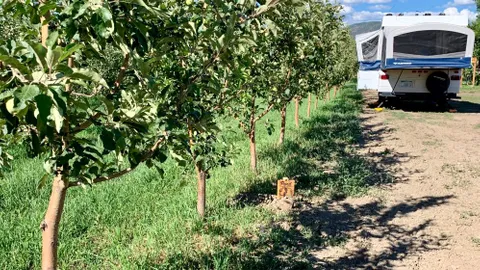 Peach Lane Campsites — image 2 of 5