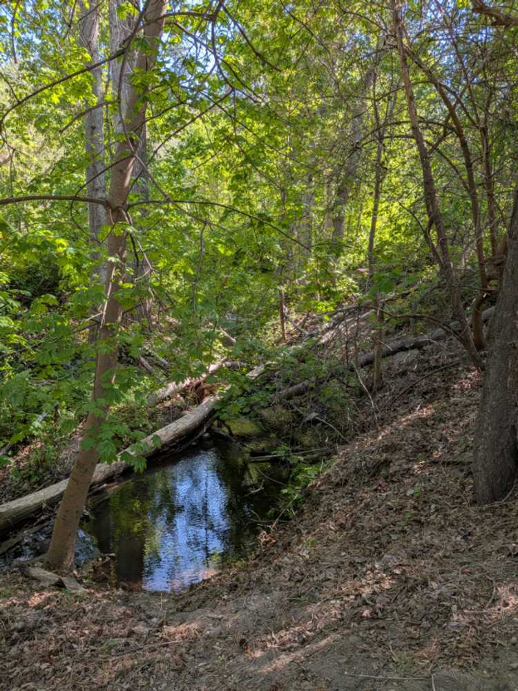 Park Image 6