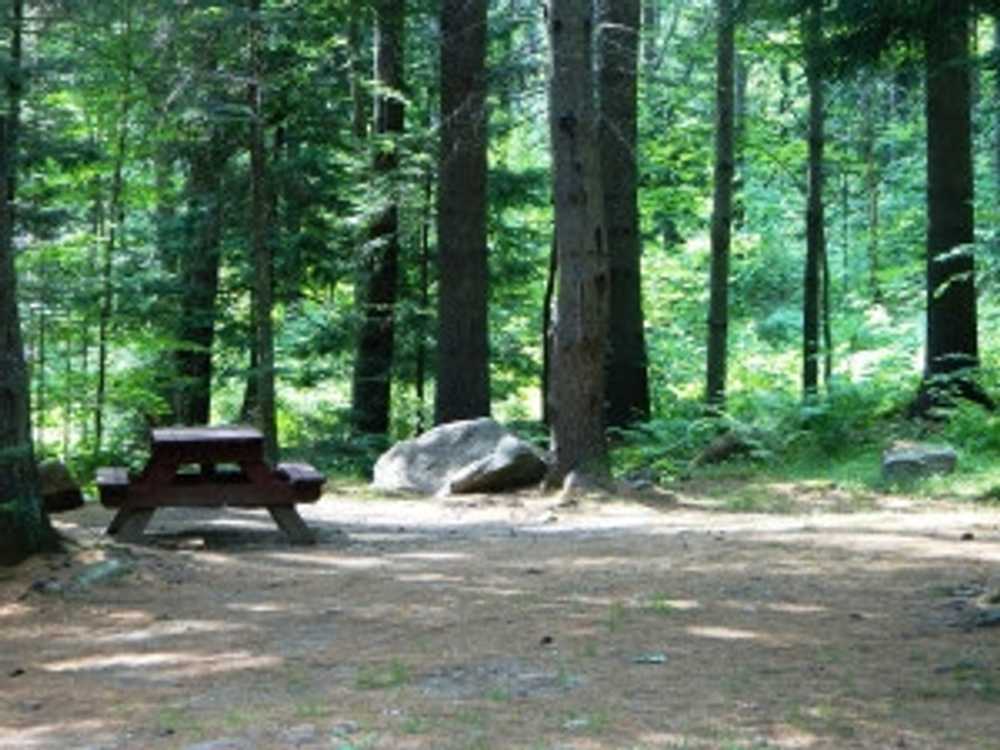 Stony Brook Campground, Hanover, Maine - Photo 5