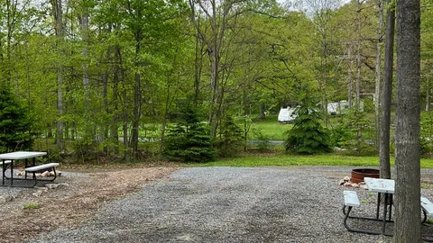 Classic Pull-Through RV Site — image 2 of 4