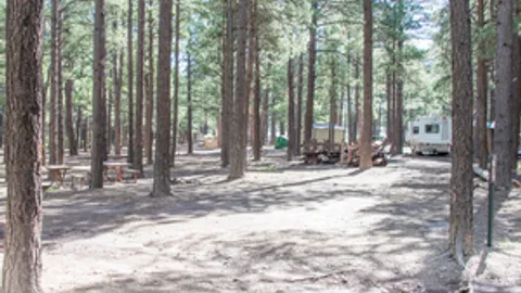 Primitive Tent Site — image 3 of 3