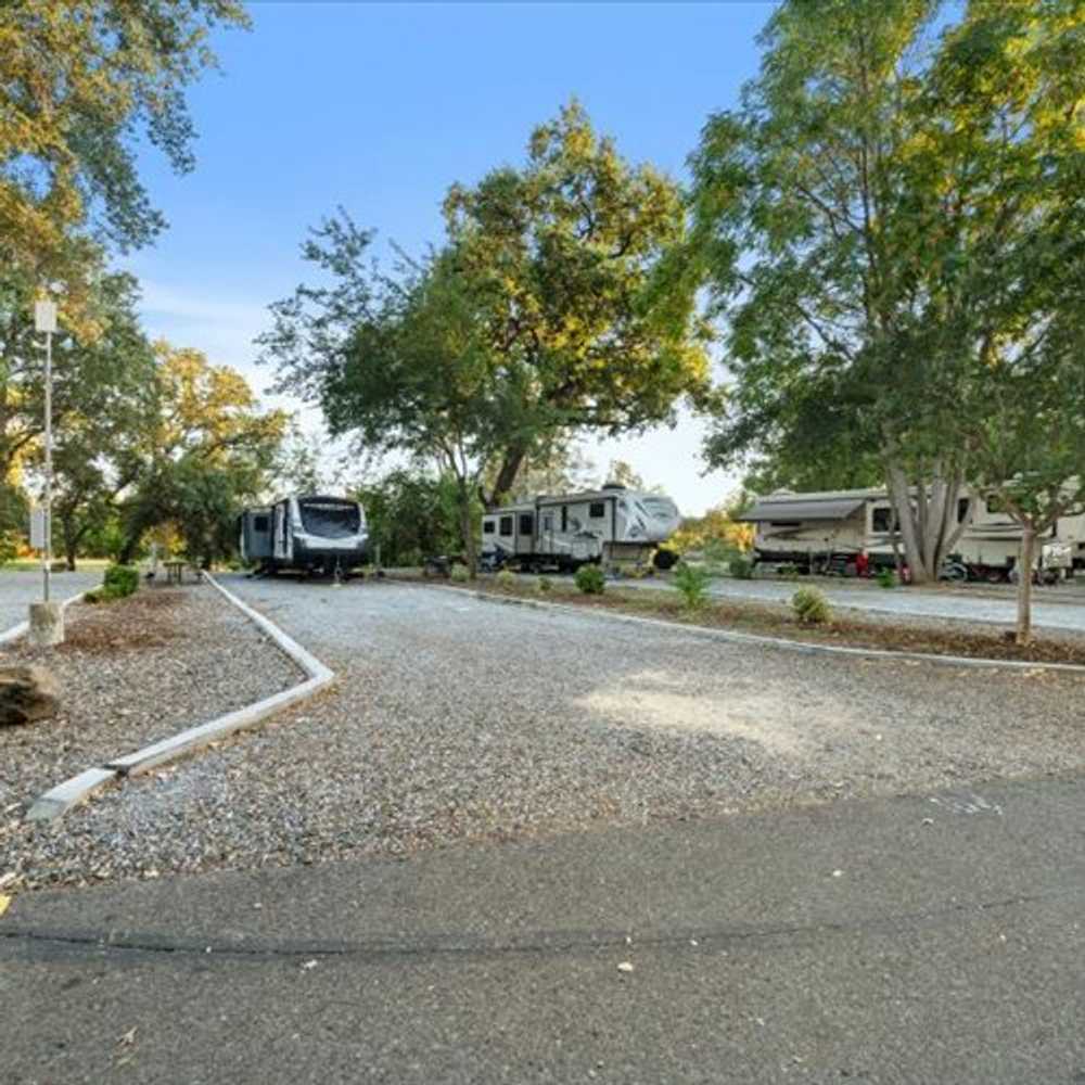 Sacramento River RV Park, Redding, California - Photo 4