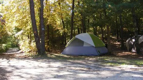 Primitive Tent Site — image 1 of 1