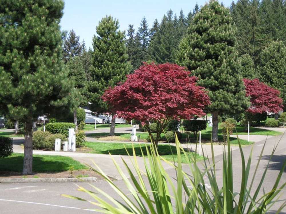 Sun Outdoors Portland South - Photo 2
