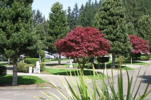 Sun Outdoors Portland South – photo 2