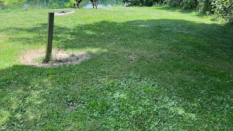 Primitive Lakefront — image 2 of 6