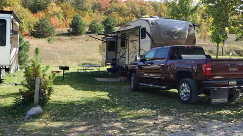 Deluxe Back-In RV Site — image 2 of 5
