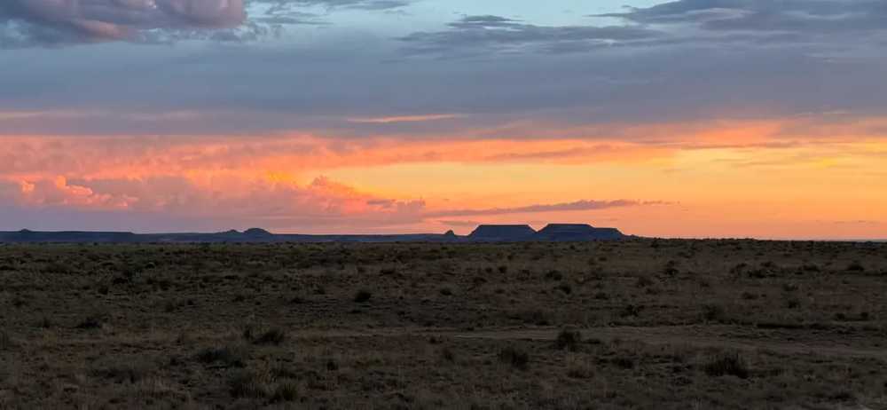 Tickled Pink Flamingos, Holbrook, Arizona - Photo 2