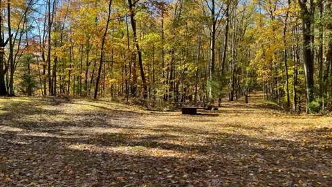 Rustic Woodland Site — image 1 of 7