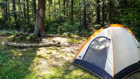 Water + Electric Tent Site — image 1 of 2