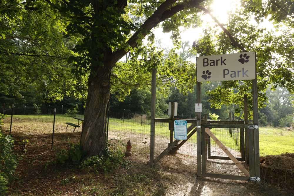 Park Image 6