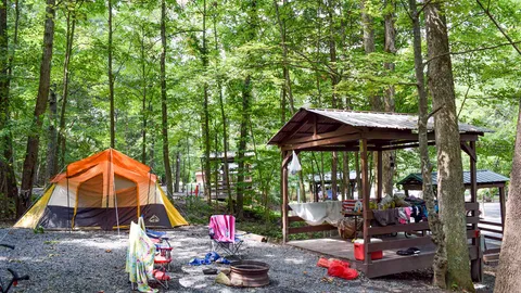 Deluxe Tent Site — image 2 of 6