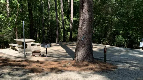 50 AMP Savannah River Interior Campsite — image 2 of 16