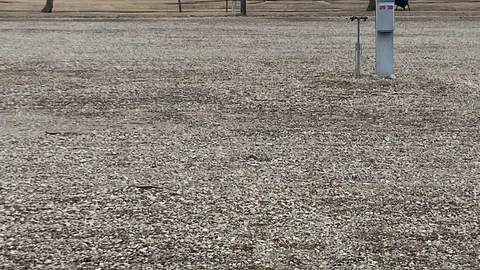50 Amp Back in, Gravel site — image 1 of 2