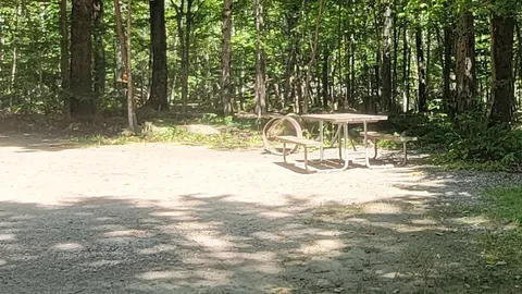 RV- W/E, Wooded — image 2 of 6