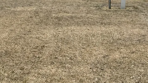 30 Amp Back in, Grass site — image 2 of 2