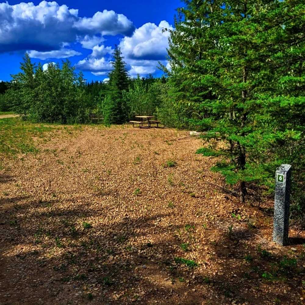 RV X-Large - Forested