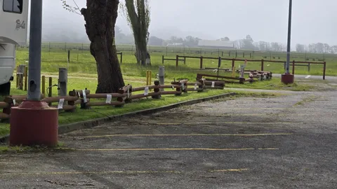 30 Amp Water & Electric RV Site — image 3 of 3