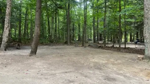 RV- W/E, Wooded — image 1 of 6