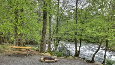 Super Premium On River Full Hookup RV Site — image 1 of 12