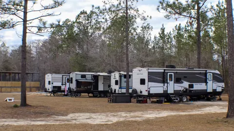 30/50 Amp Full Hookup RV Site — image 1 of 1
