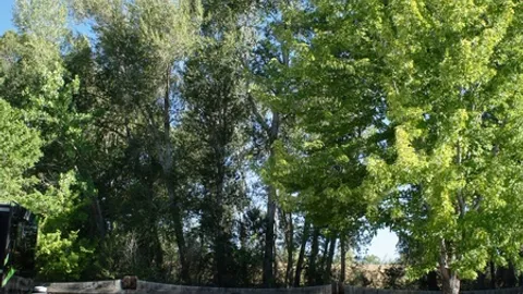 Back-In RV Site (YR) — image 1 of 3