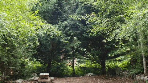 Primitive Sunset Camping Site — image 1 of 5