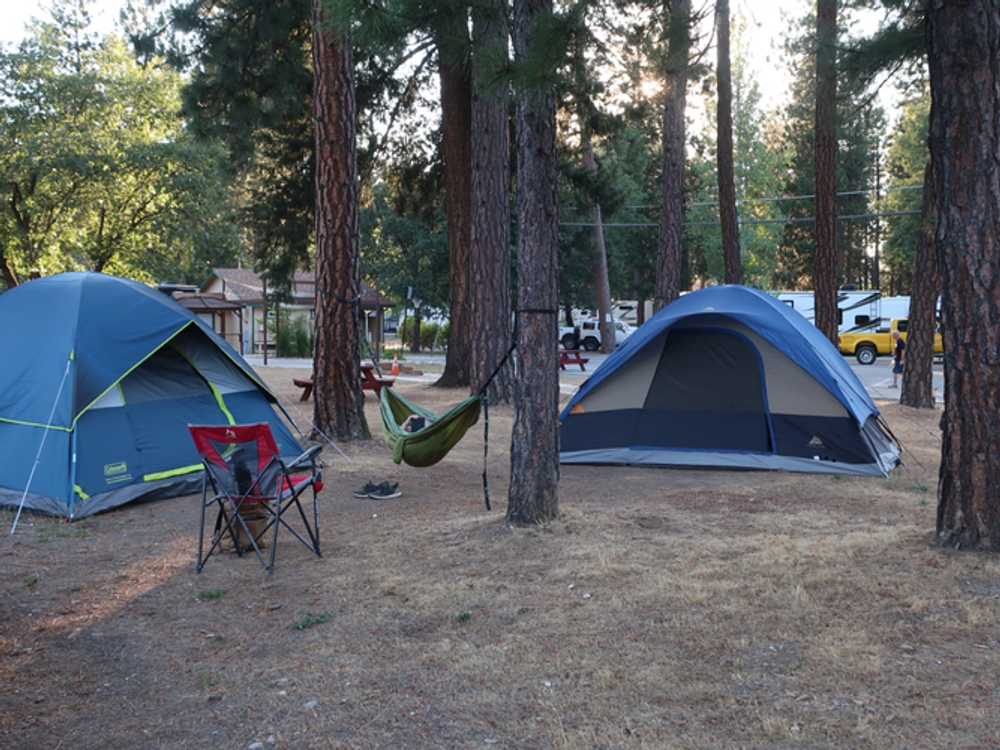 Tent Area