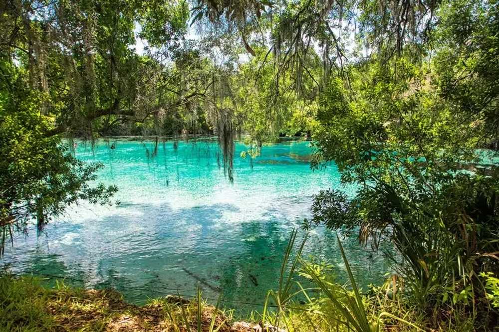 Lake Waldena Resort - Silver Springs, FL - Photo 5