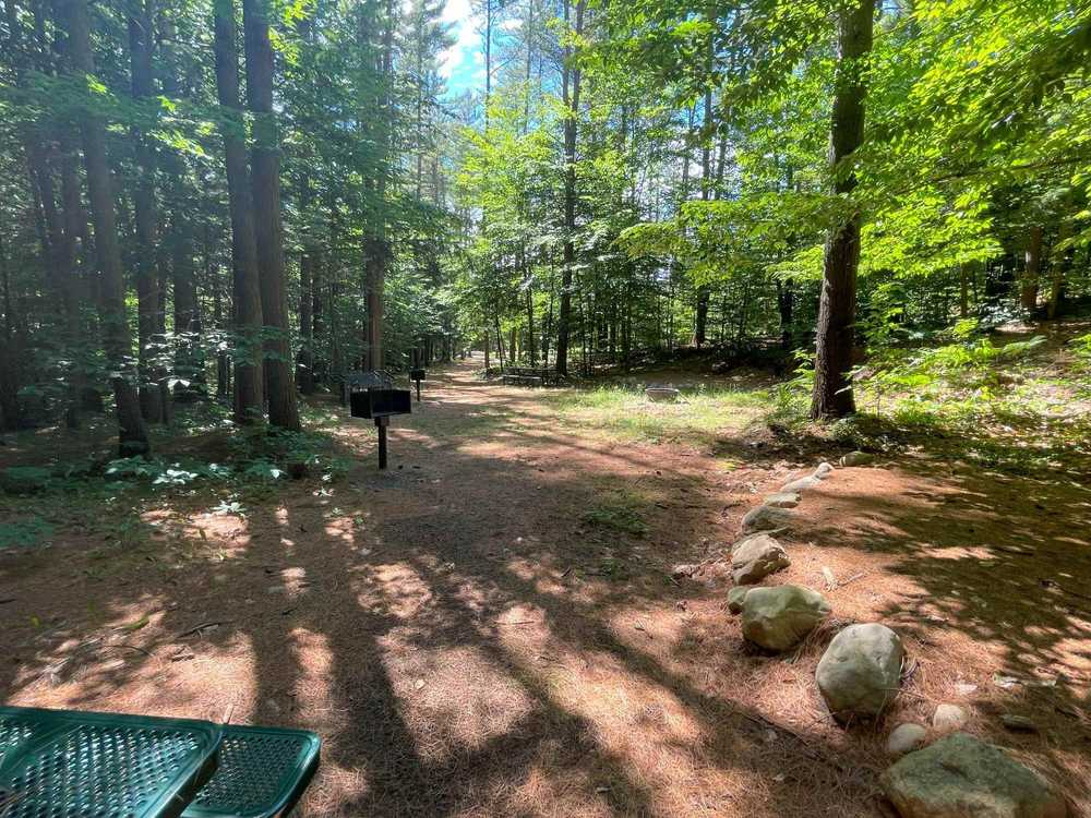 Singing Waters Campground, Greig, New York - Photo 3