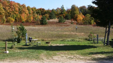 Deluxe Back-In RV Site — image 2 of 5