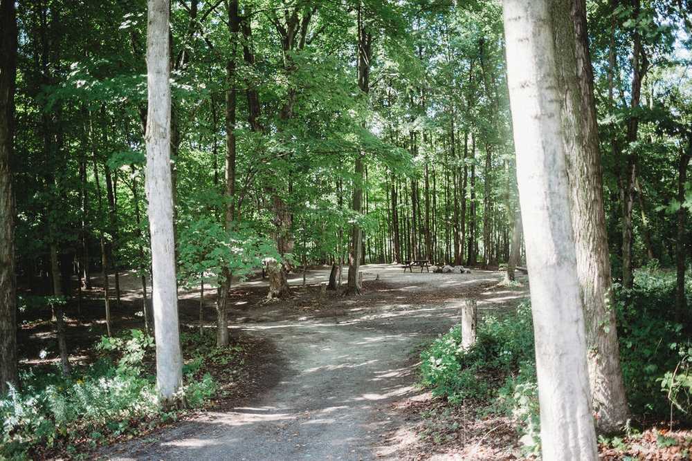 Park Image 6