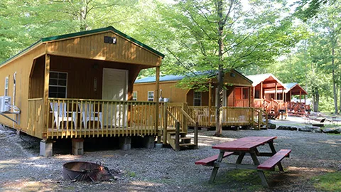 Primitive Plus Cabin — image 2 of 2