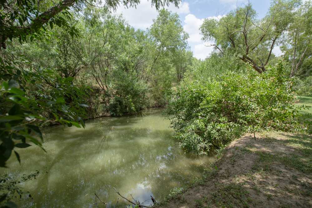 Park Image 6