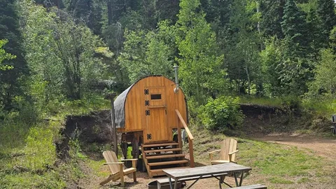 Covered Wagon — image 1 of 11