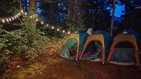 Primitive Tent Site — image 1 of 16