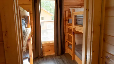 Bubbly Hickory Forest Deluxe Cabin — image 2 of 7