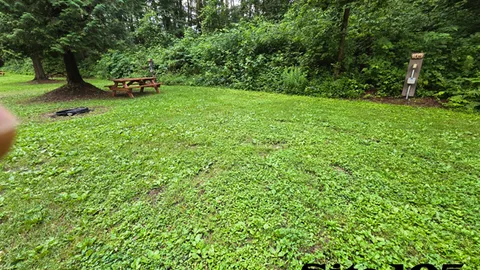 20 Amp Lake Adjacent RV Site — image 6 of 6