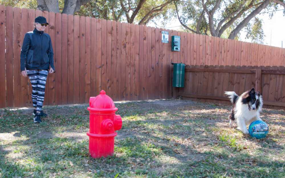 McAllen Mission RV Resort, Mission, Texas - Photo 4