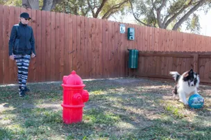 McAllen Mission RV Resort – photo 4
