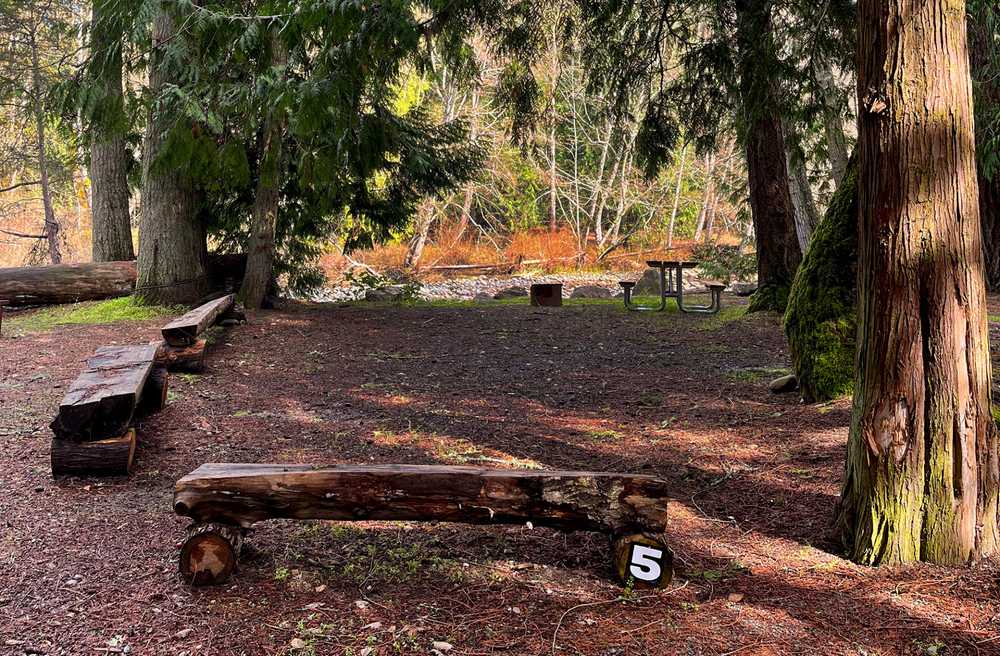Park Image 6