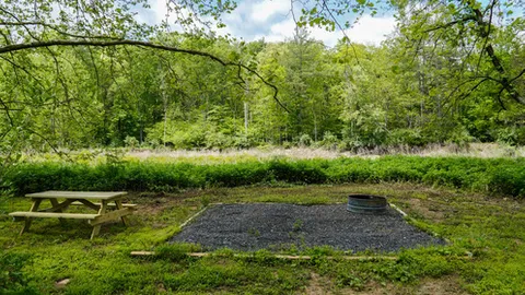 Primitive Tent Camping — image 1 of 1